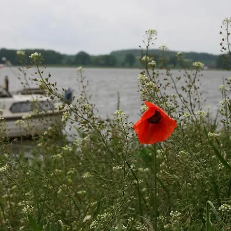 Apartamento Am Selliner See *